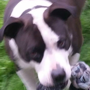 Meet your Posher, Mpsg